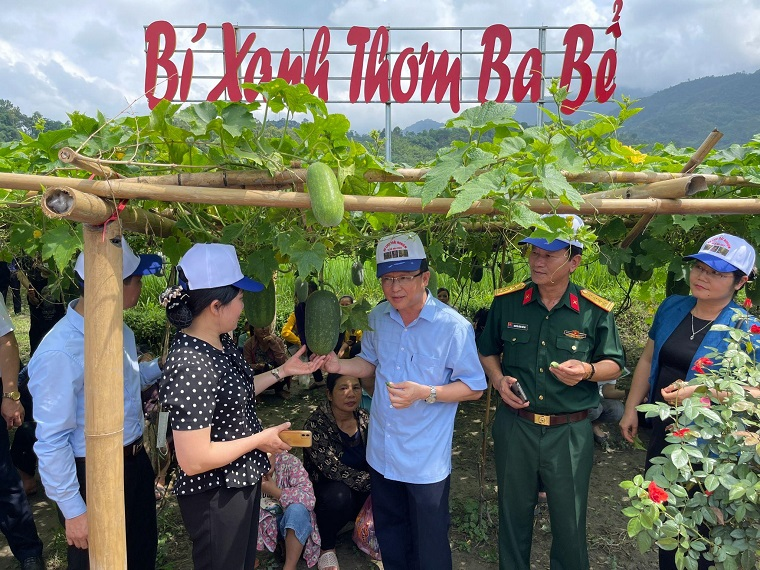bí xanh thơm ba bể