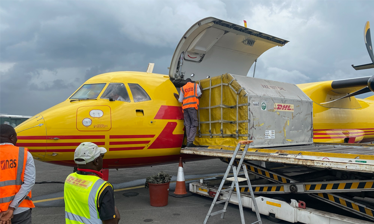 DHL vận chuyển 4 cá thể tinh tinh đến Liberia
