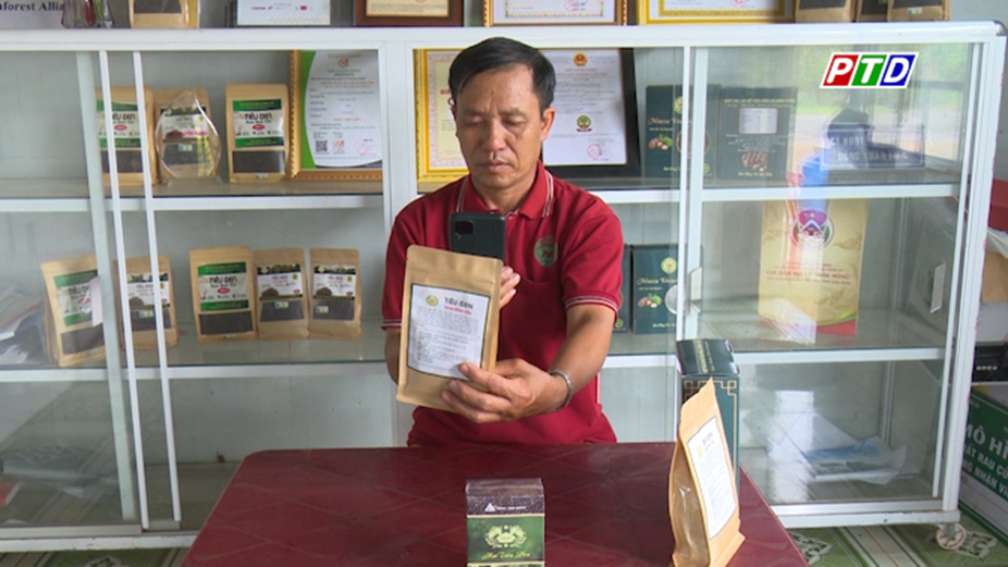 Ông Liền đưa sản phẩm hạt tiêu lên sàn TMĐT
